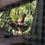 Apartman De Natureluur