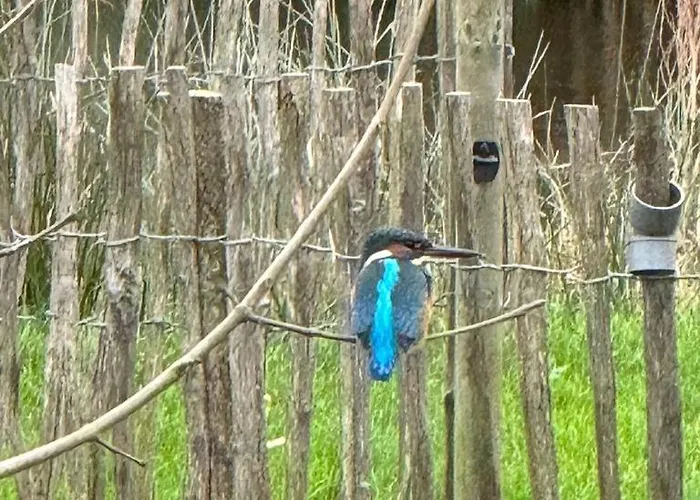 Apartmán De Natureluur