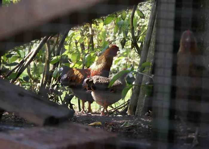 Apartmán De Natureluur