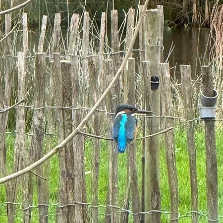 Daire De Natureluur