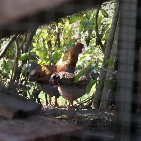 아파트 De Natureluur